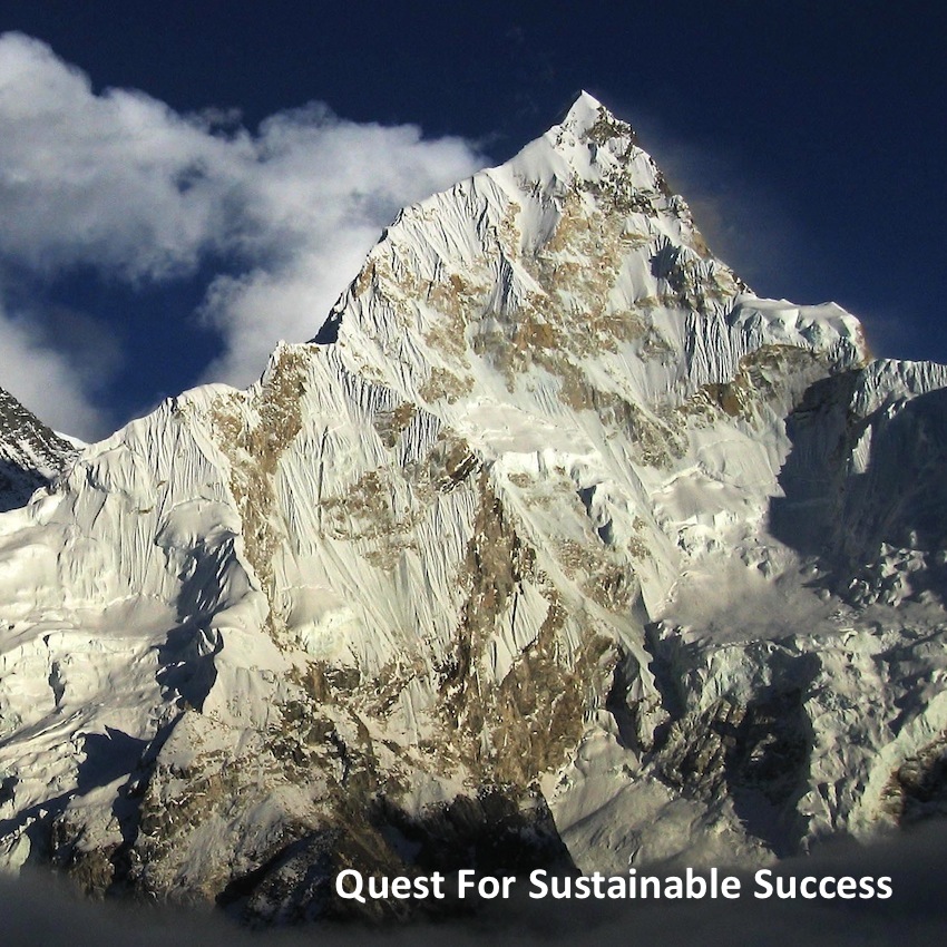 Quest for Sustainable Success