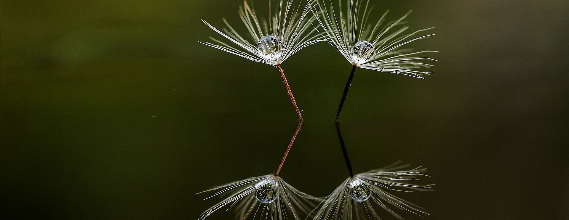 Reflection