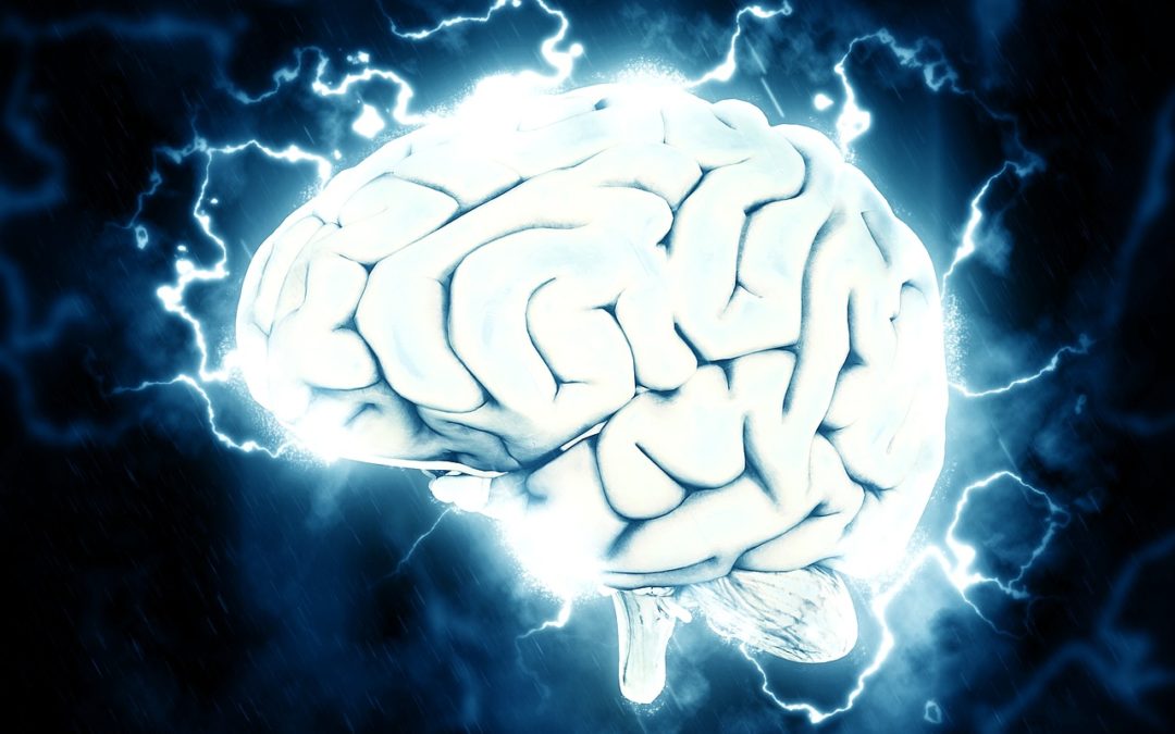 The Neuroscience Behind Behavioural Change