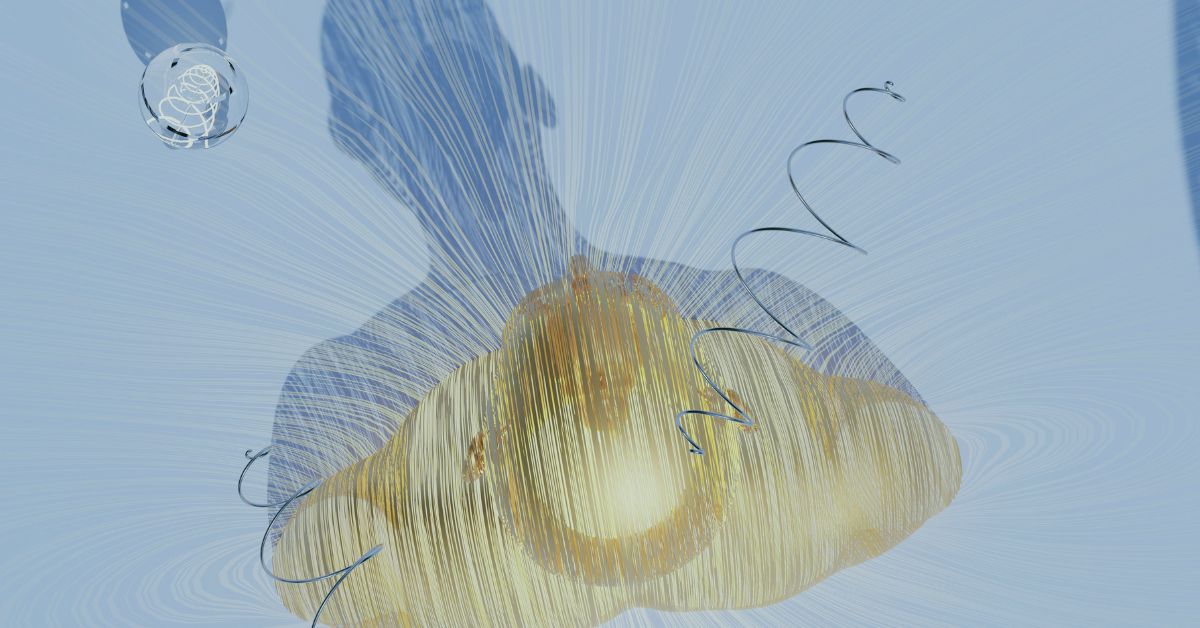 Reflections on Learning Transfer Insights from Jason Durkee - wise transfer words indeed!